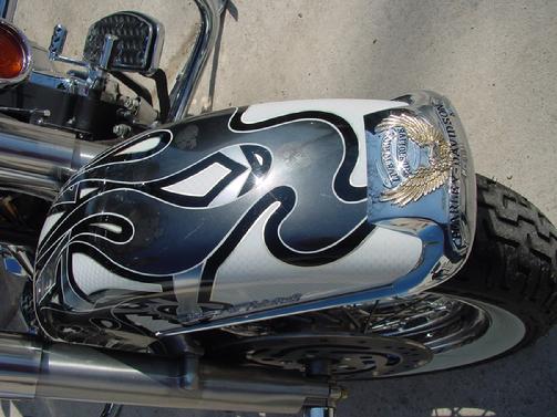 Custom Painted Bike