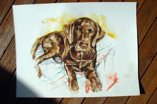 mylie the chocolate lab original watercolor